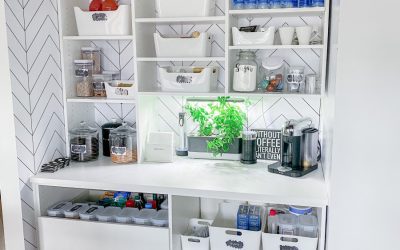 Modern California Closet Pantry
